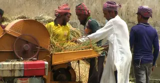 উচ্চ সুদ আর কৃষি উপকরণ সংকটে দিশেহারা নেত্রকোণার কৃষক